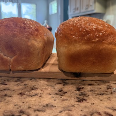 Fresh Bread 