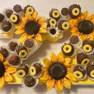 22 Sunflower 🌻 Garden 🍓 