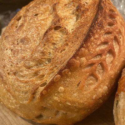 Roasted Garlic Herb Sourdough