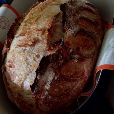 Crusty Cheddar Sourdough Loaf