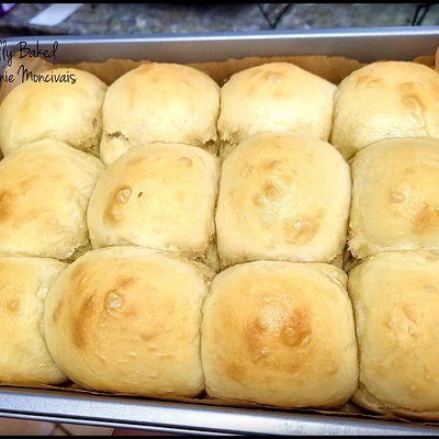 Dinner Rolls