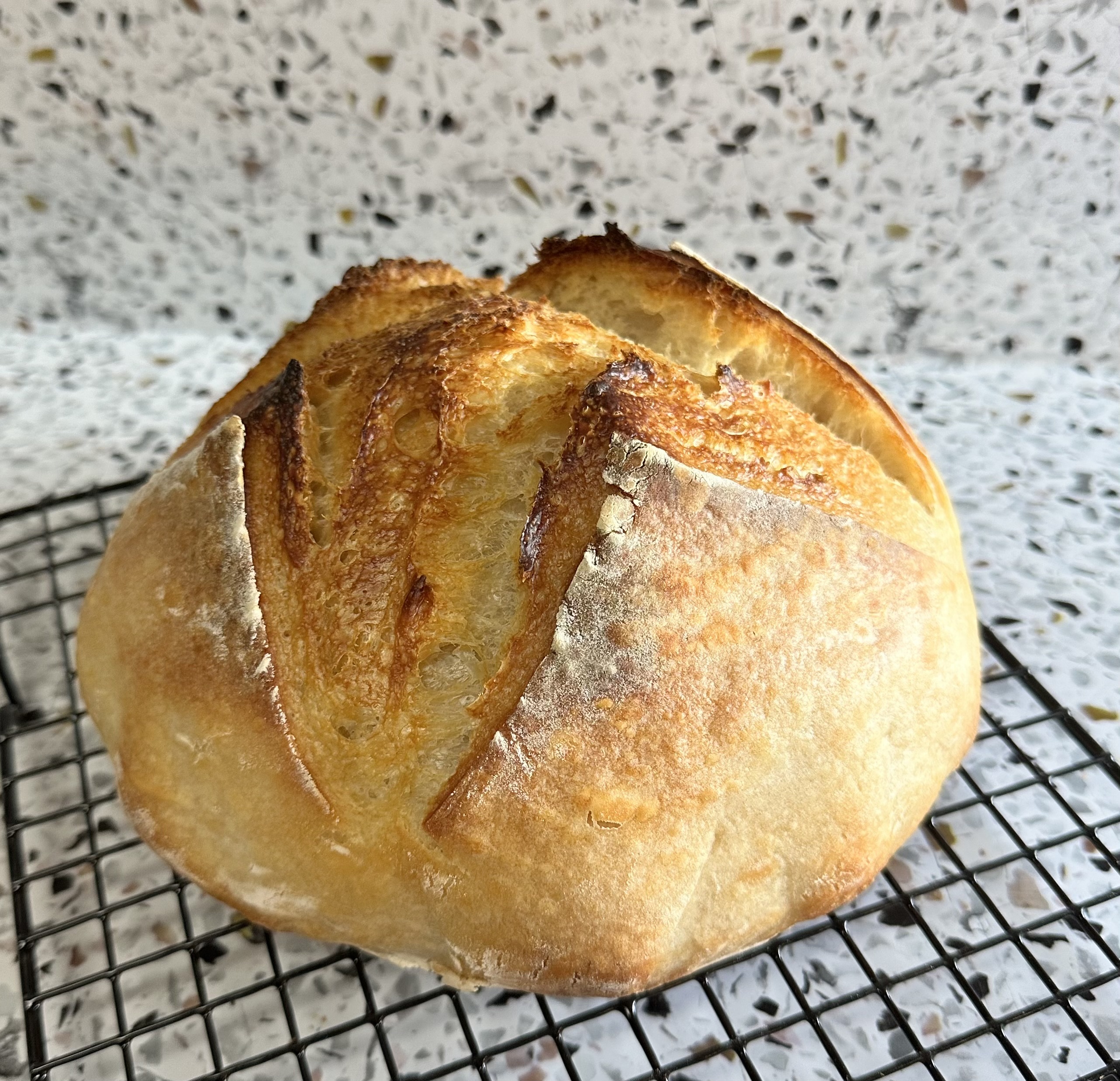Plain Sourdough Loaf