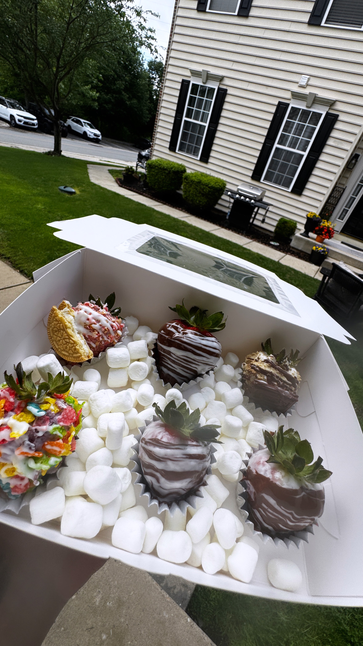 chocolate covered berries large