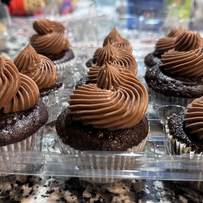 24 Regular Cupcakes 