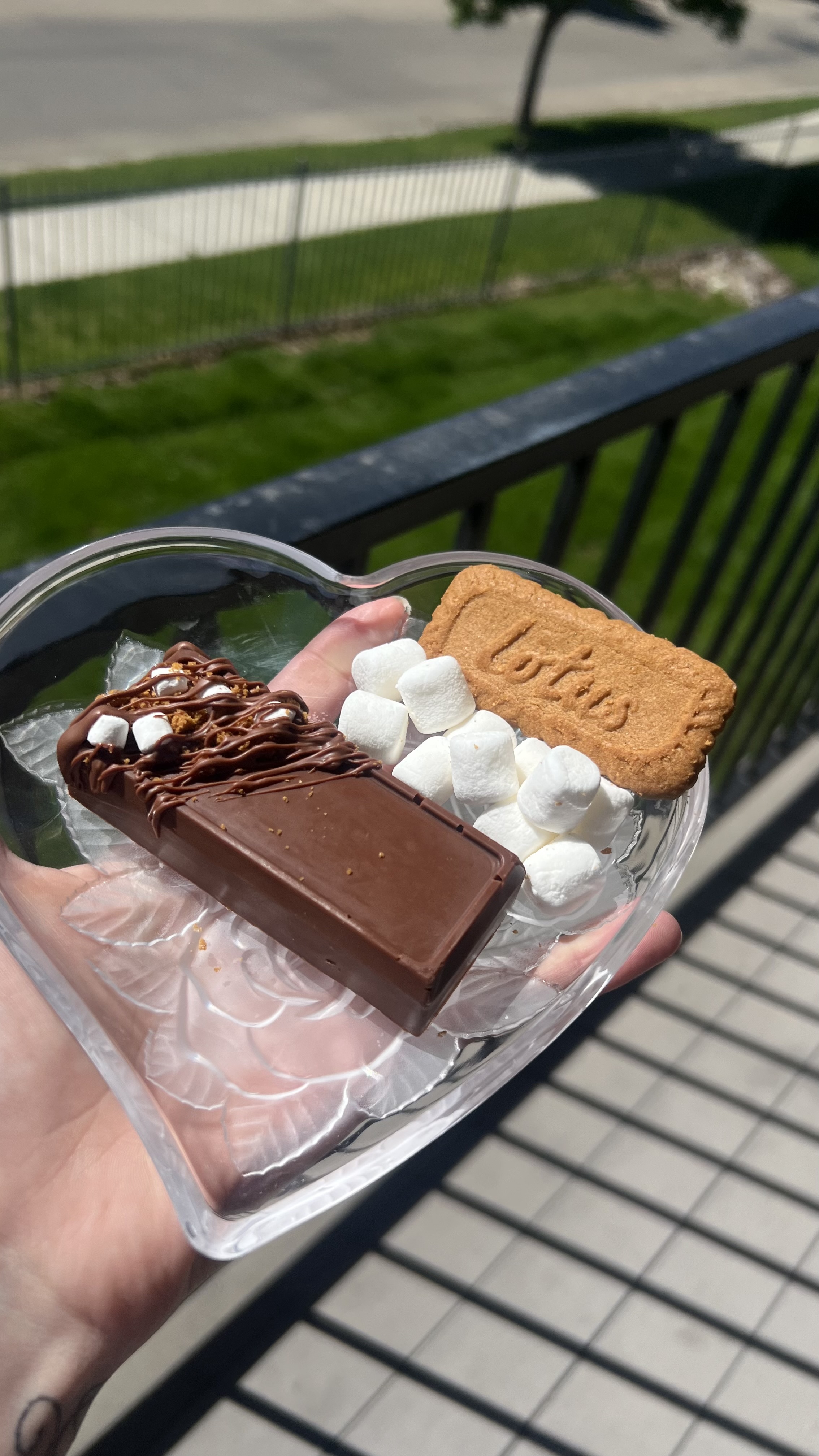 Small Biscoff S’mores Bar