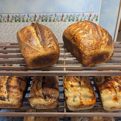 Whole Wheat Sandwich Loaf