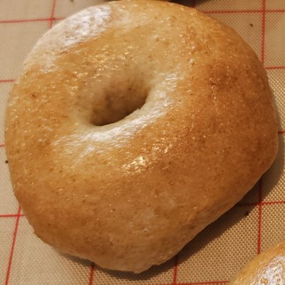 Plain Sourdough Bagels 