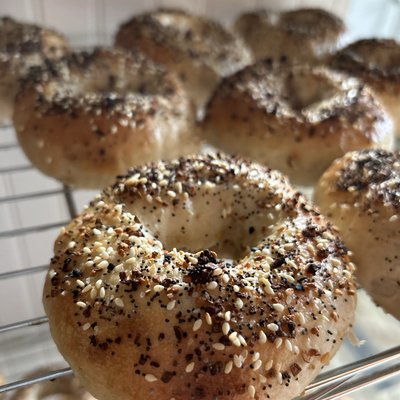 Sourdough Bagels 