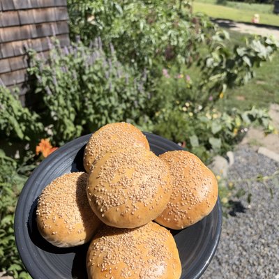 Sourdough Hamburger Buns