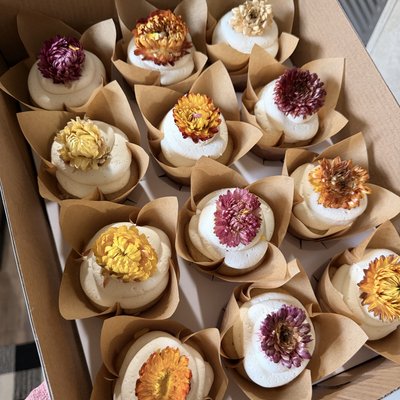 Vanilla Cupcakes