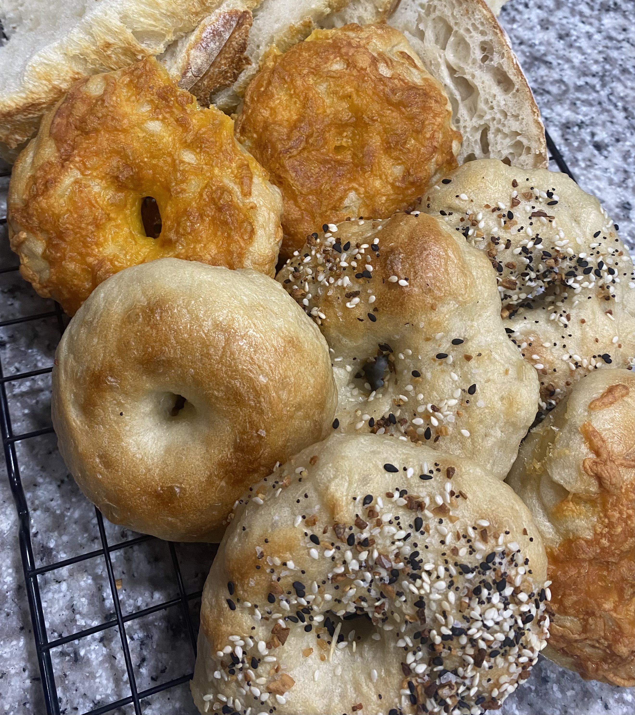Sourdough Bagels (6) - Sharp Cheddar