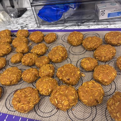 Dog Treats 