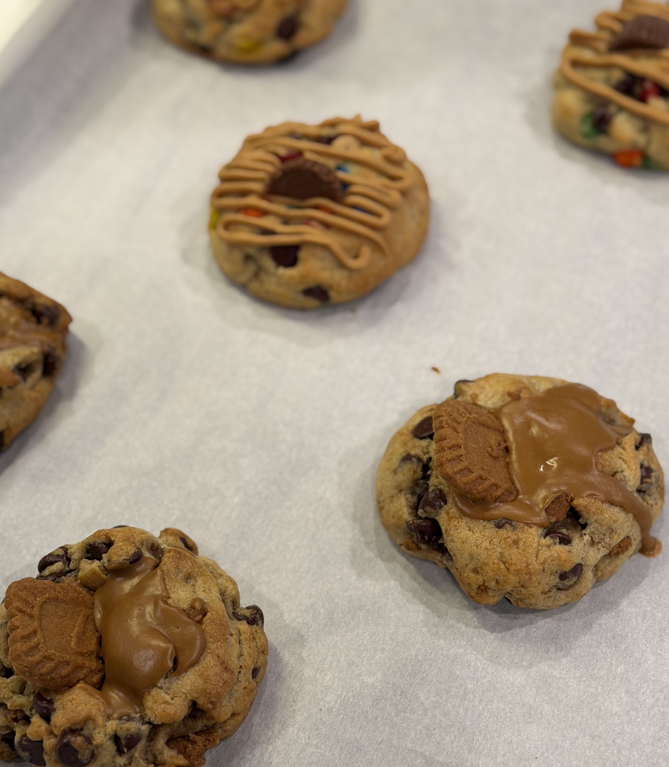 Gourmet Cookie Box {6 Pack}