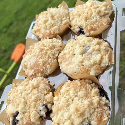 6ct Sourdough Blueberry Crumble Muffins