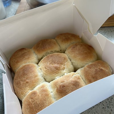 Dinner Rolls