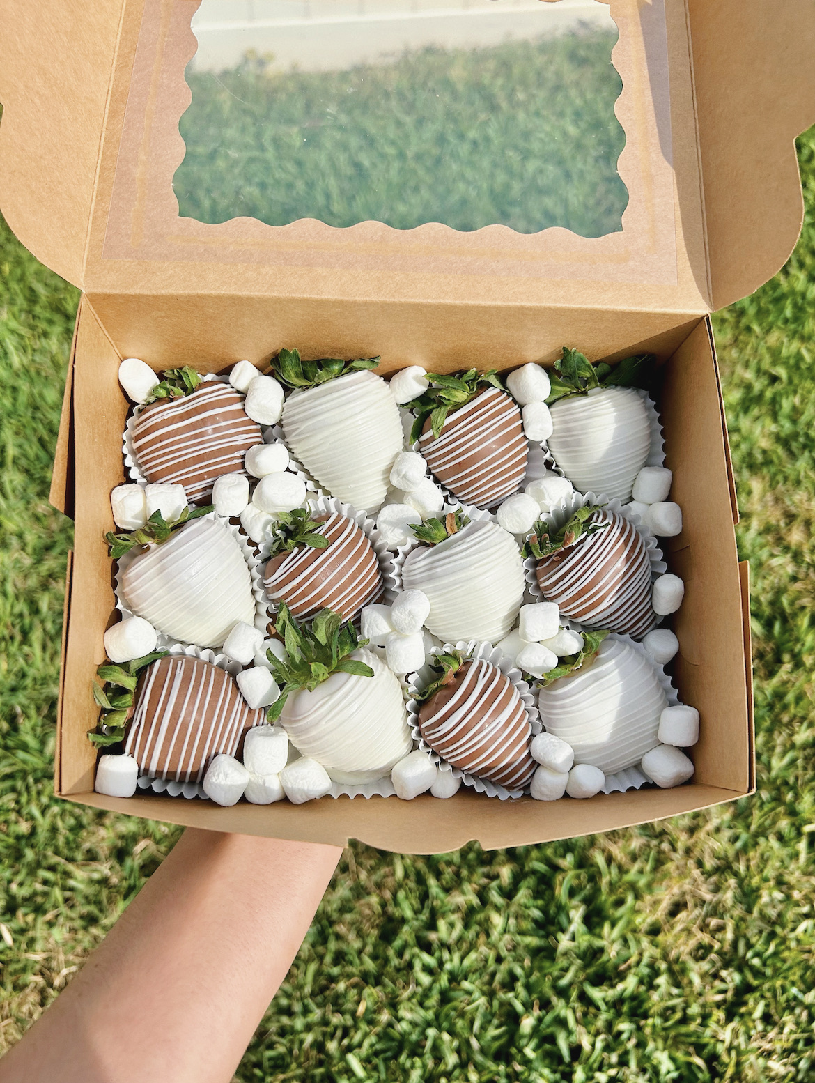 Dozen Strawberries