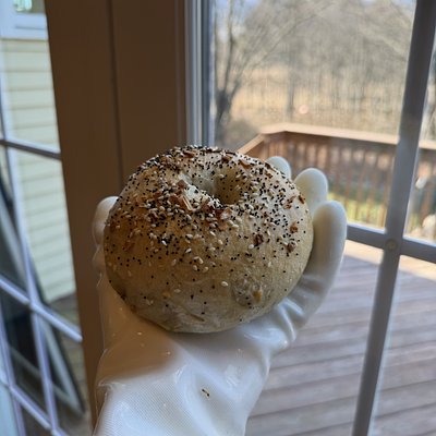 6 Sourdough Everything Bagel 