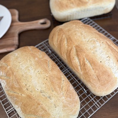 Original Sourdough Loaf 