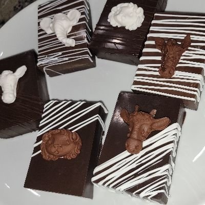 Dipped Rice Krispie Treats With Stick