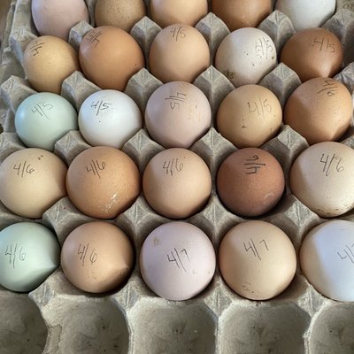 Farm Fresh Eggs 