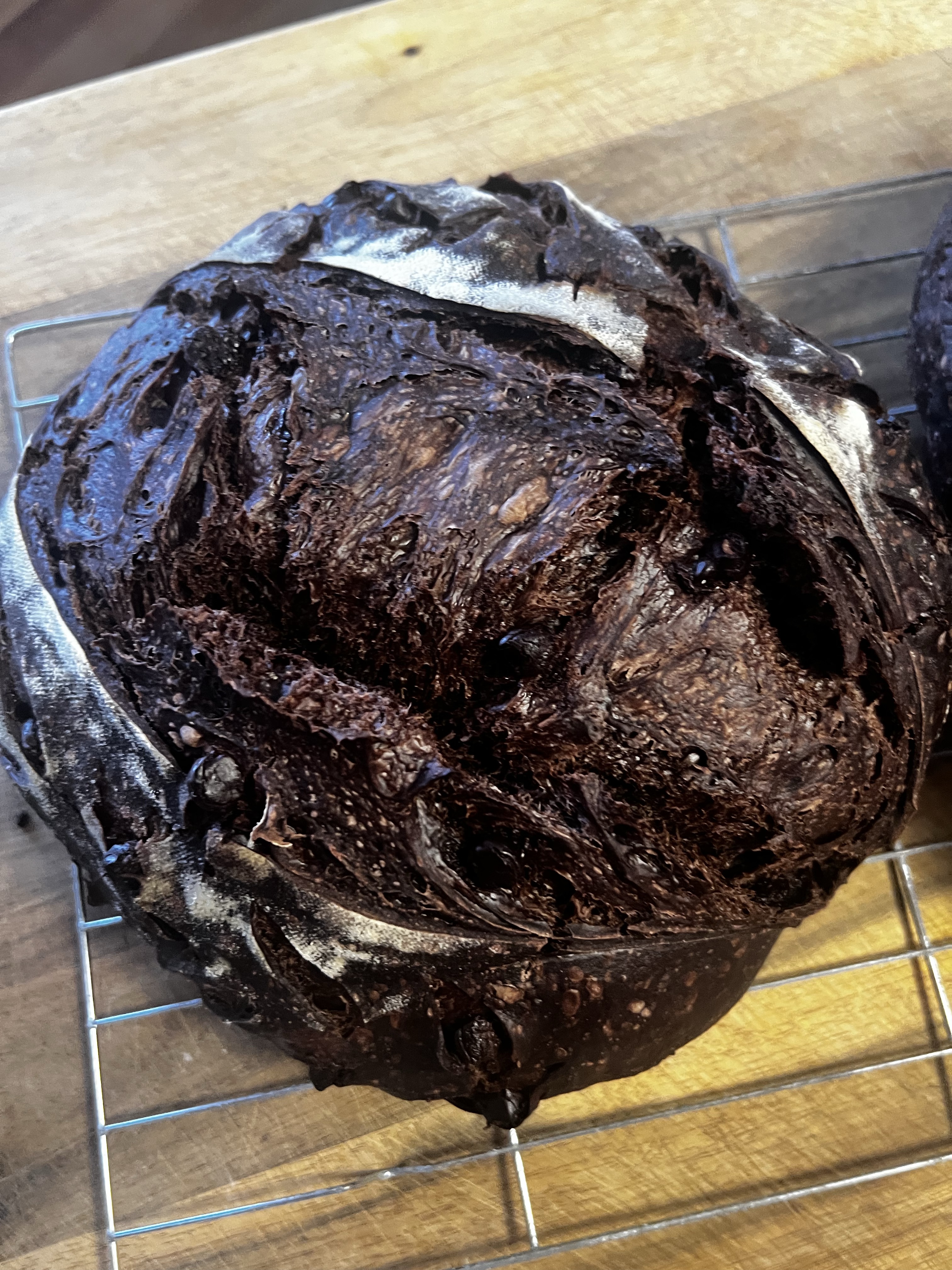 Dark Dutch Chocolate Chip