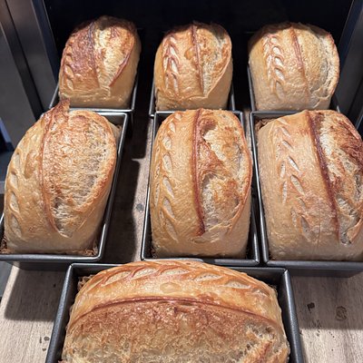 Plain EXTRA Sourdough Loaf 