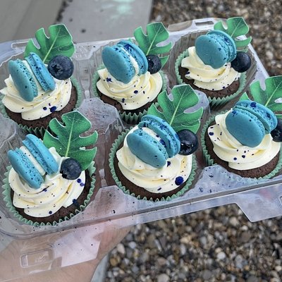 Cupcake Dozen 