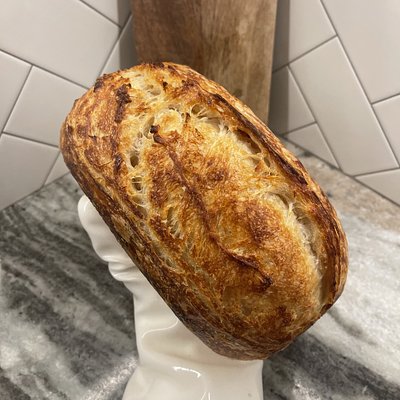 Croissant Sourdough (Butter Inclusion) 