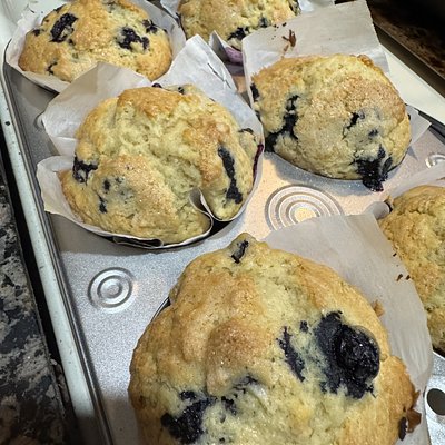Blueberry Sourdough Muffins 4ct