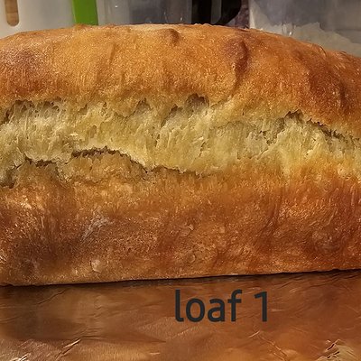 Sandwich Sourdough Loaf
