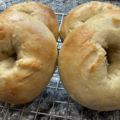 Plain Sourdough Bagel (12 Pack) 