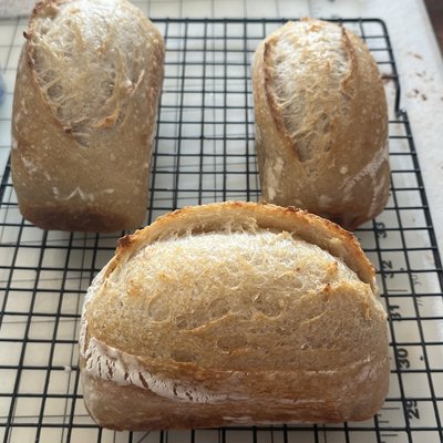 Mini-Plain Sourdough Loaf