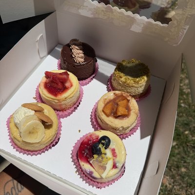 Cheesecake Variety Pack