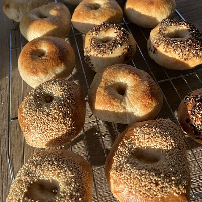 Sesame Bagel