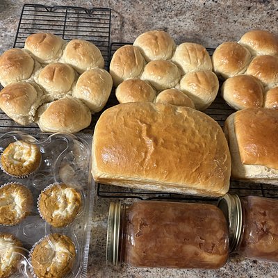 Dinner Rolls