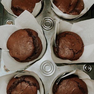 Chocolate Chocolate Chip Muffins
