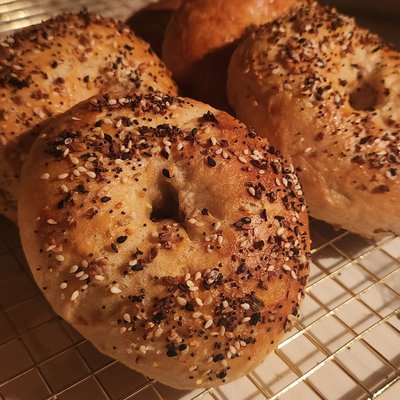 Sourdough Bagels(6)plain