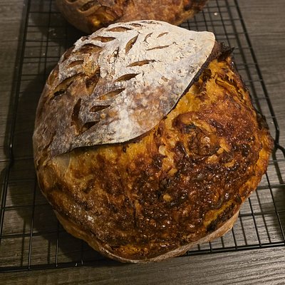 Christmas Cheddar Sourdough 🎄🧀