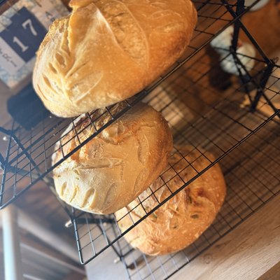 Sourdough Loaf 