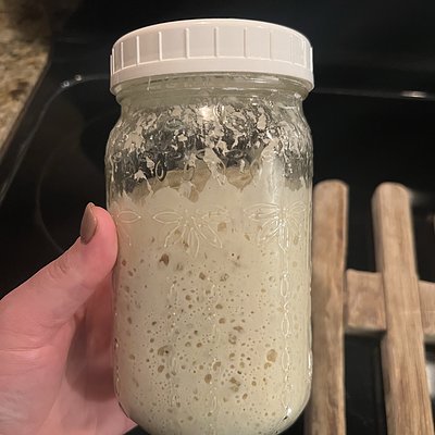 Well Seasoned Sourdough Starter
