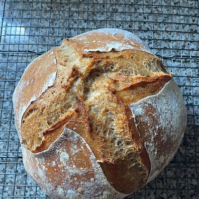 Whole Wheat 