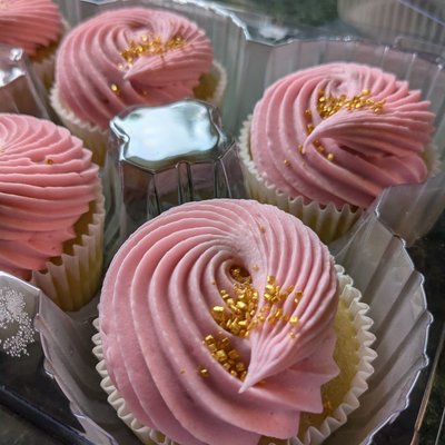 Dozen Cupcakes 