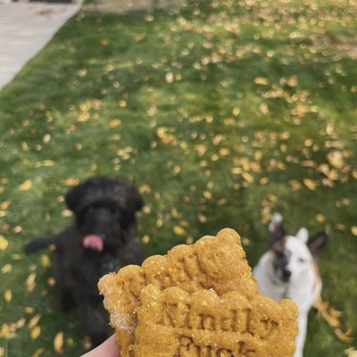 Sourdough Pumpkin Peanut Butter Dog Profanity Edition - 6 PK