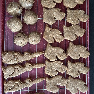 Homemade Dog Treats