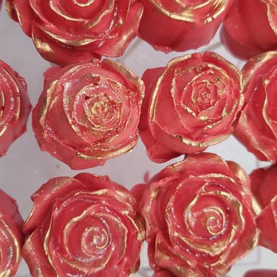 Roses In Bloom