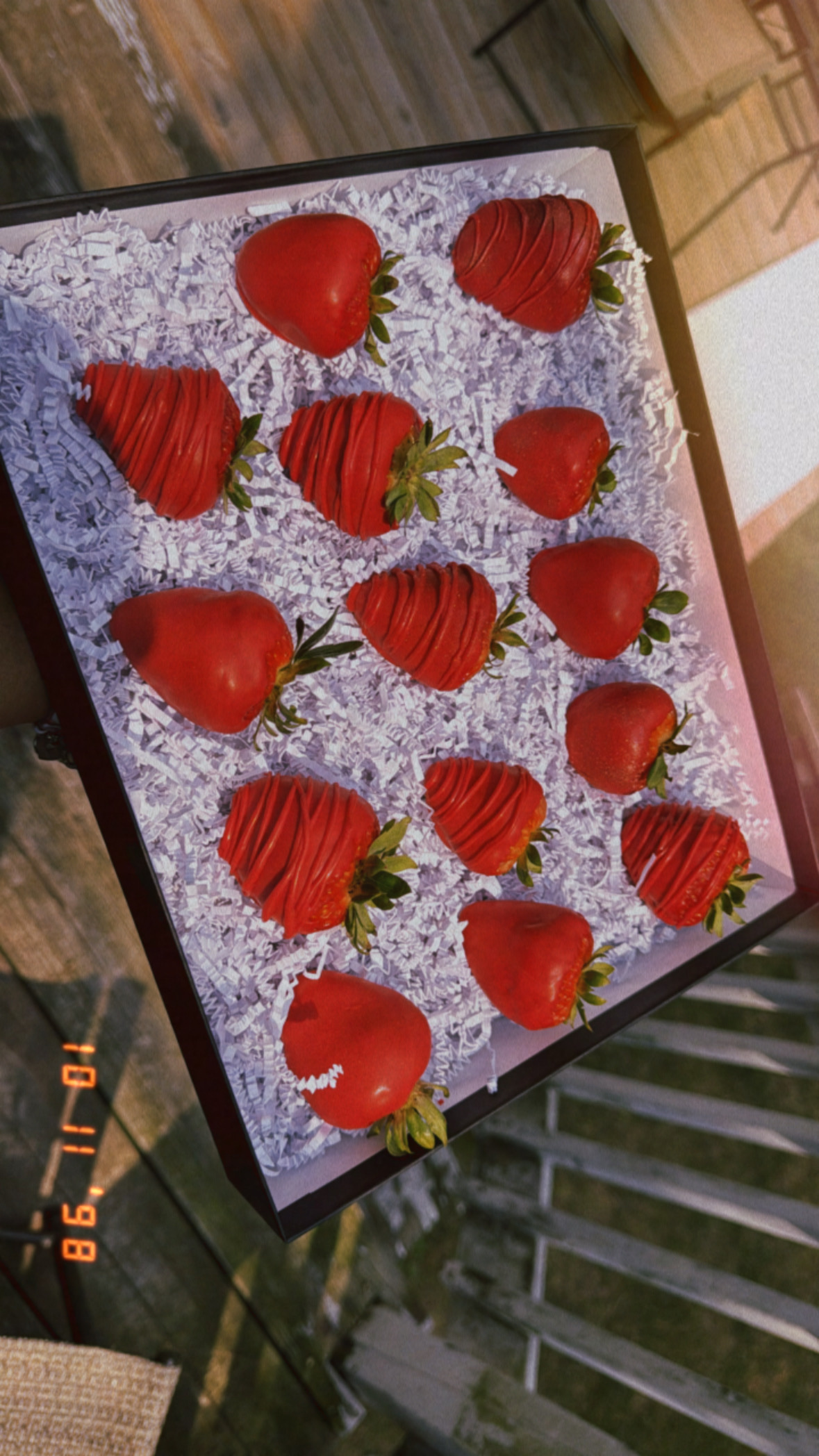 Chocolate Covered Treats