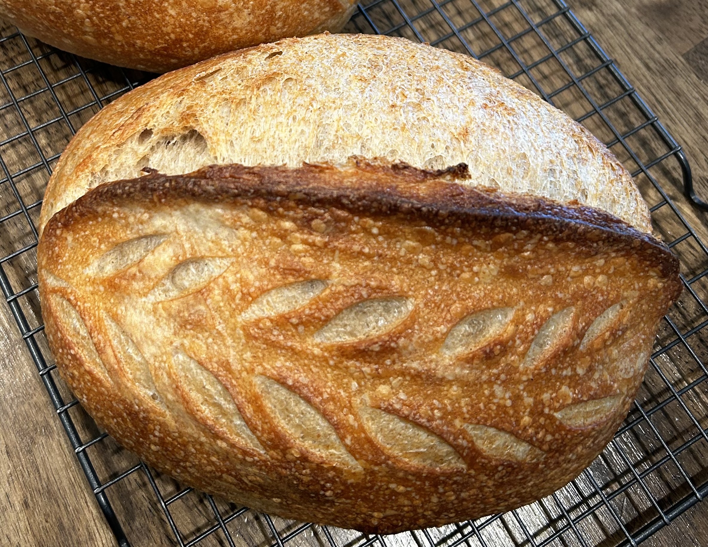 Sourdough