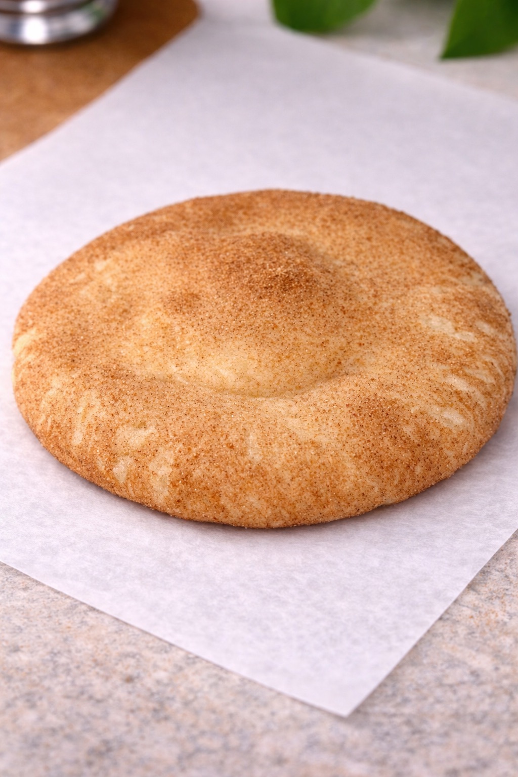 Cinnamon Cloud Snickerdoodles (4 Oz)