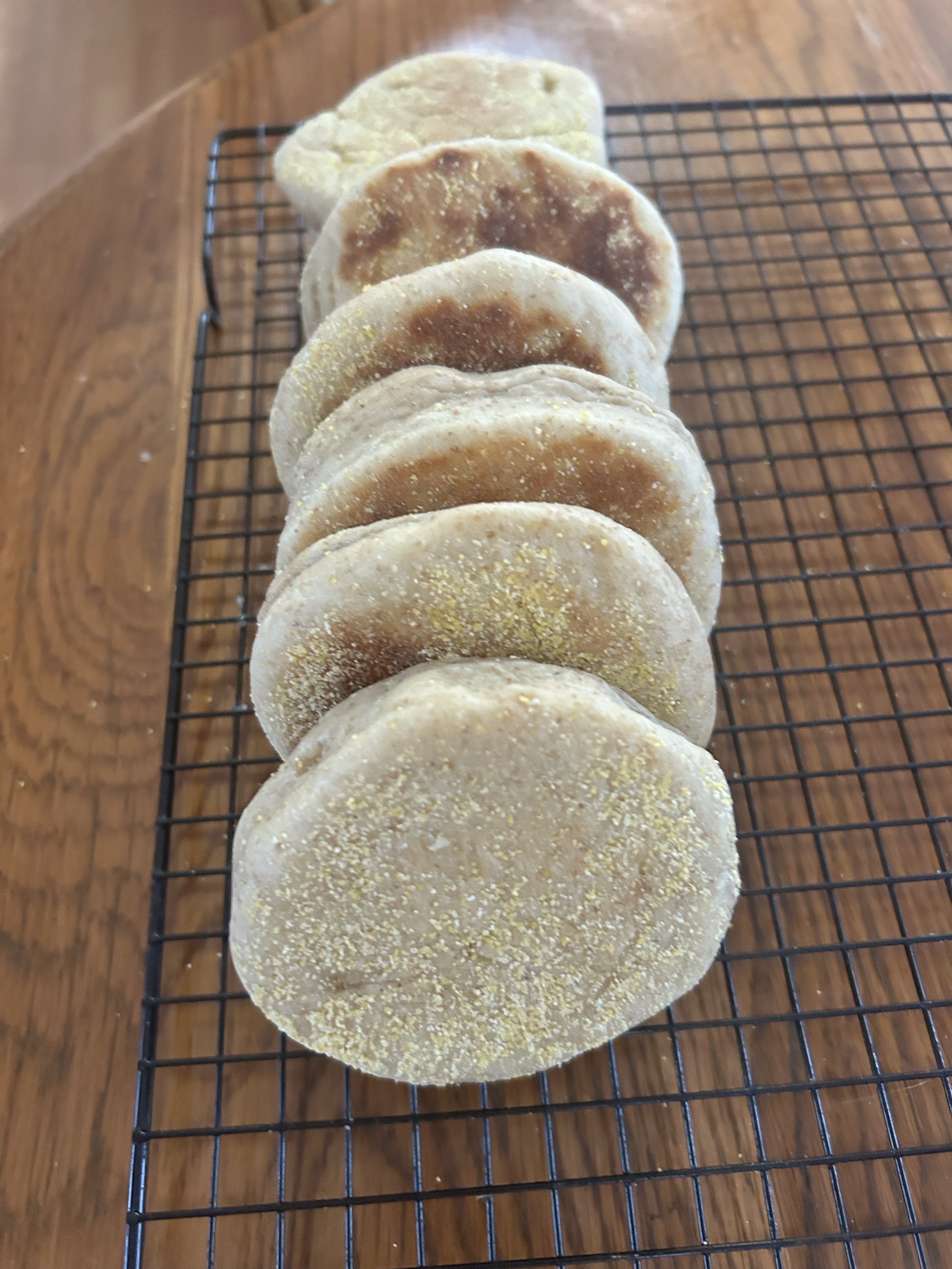 Sourdough English Muffins 