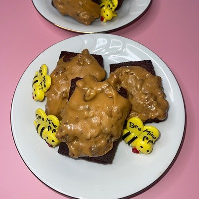 Turtle Brownie 